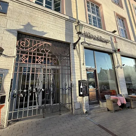 Elegant With Sauna, Town Hall Square, Old Town Apartamento Tallin