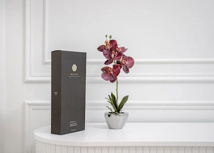 Elegant With Sauna, Town Hall Square, Old Town