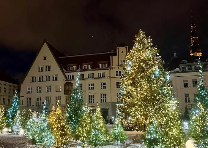 Elegant With Sauna, Town Hall Square, Old Town Apartamento Talin