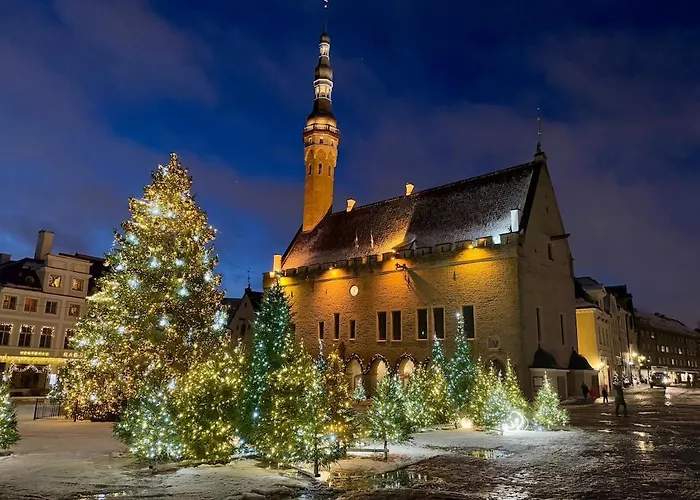 Elegant With Sauna, Town Hall Square, Old Town * Tallinn