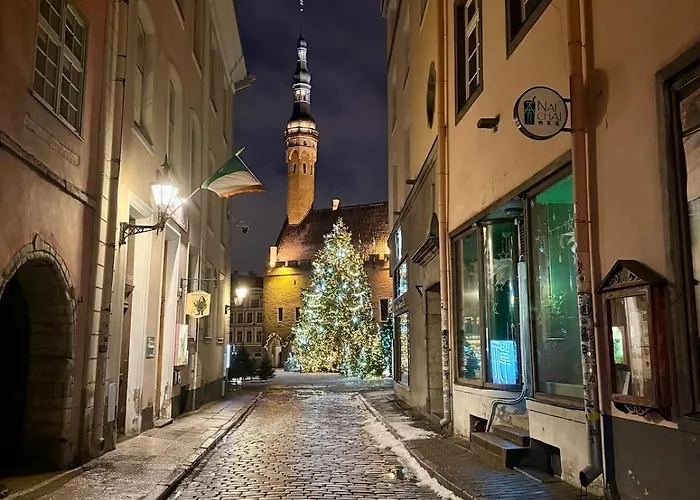 Lejlighed Elegant With Sauna, Town Hall Square, Old Town Tallinn